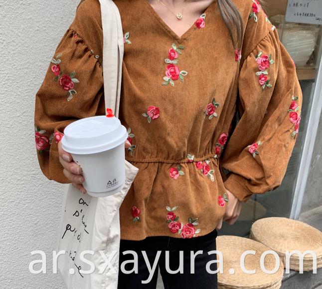 Autumn 2020 new fashion casual V-neck embroidered top